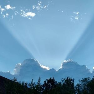 Meet your Posher, Madeleine